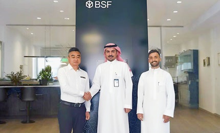 BRD-BSF cooperation